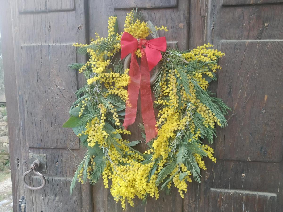 Apartamento Felicitas En La Casa De Cobos, Ribeira Sacra Puebla Del Brollon Exterior foto