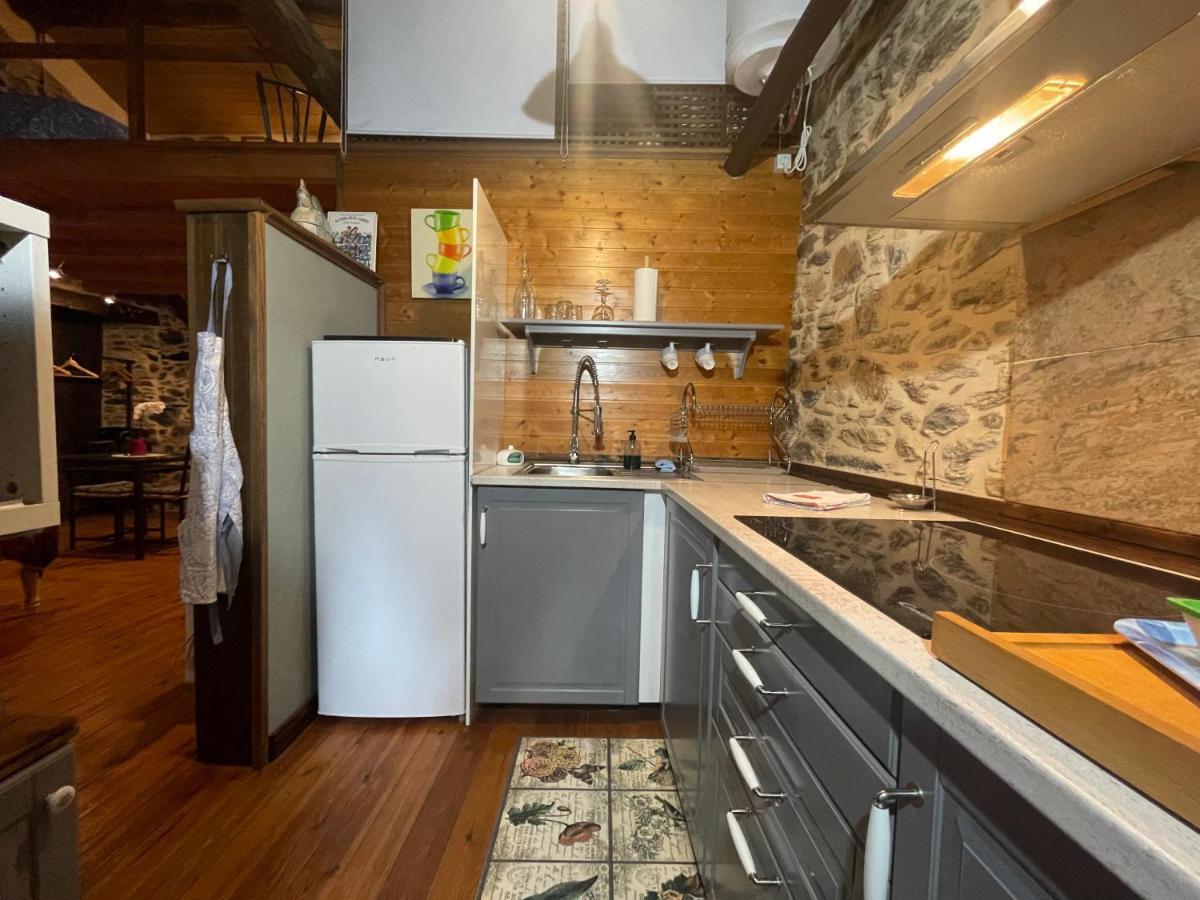 Apartamento Felicitas En La Casa De Cobos, Ribeira Sacra Puebla Del Brollon Exterior foto