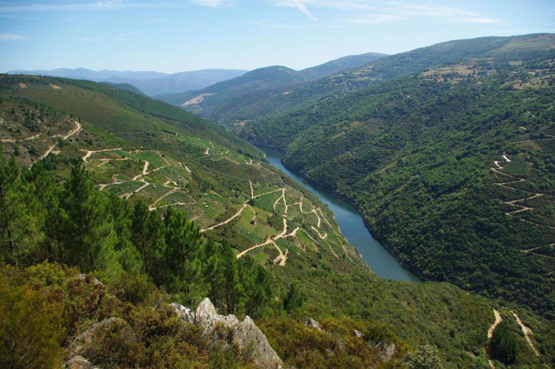 Apartamento Felicitas En La Casa De Cobos, Ribeira Sacra Puebla Del Brollon Exterior foto
