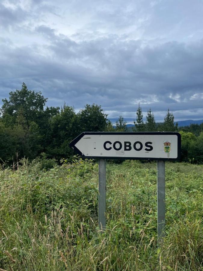 Apartamento Felicitas En La Casa De Cobos, Ribeira Sacra Puebla Del Brollon Exterior foto